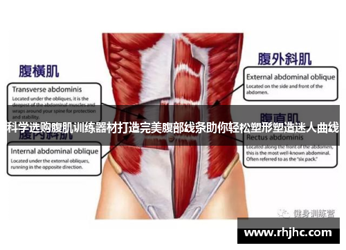 科学选购腹肌训练器材打造完美腹部线条助你轻松塑形塑造迷人曲线
